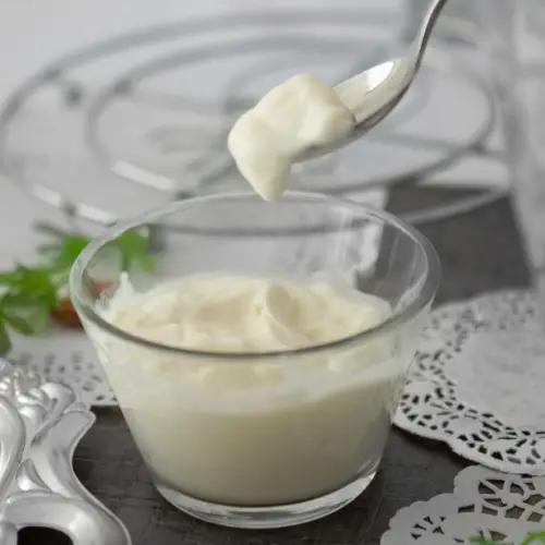 the best coconut milk sour cream recipe