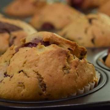 gluten free chocolate chip muffins