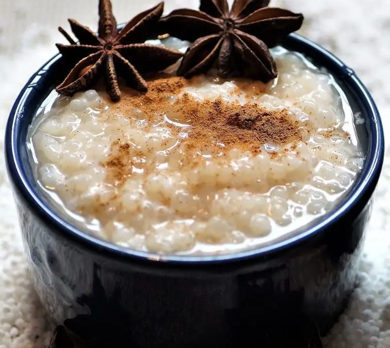 Easy Vegan Tapioca Pudding Recipe Coconut Milk