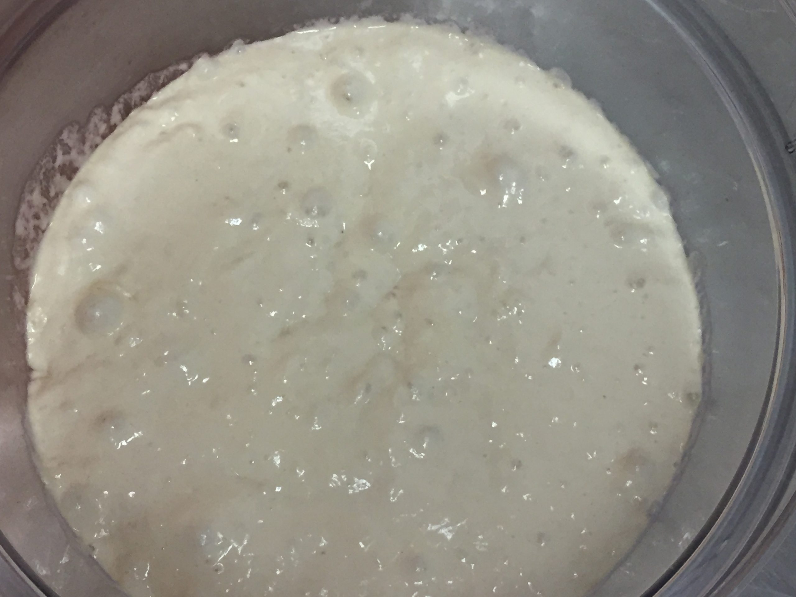 Sourdough Starter White Flour ( Natural Levain)