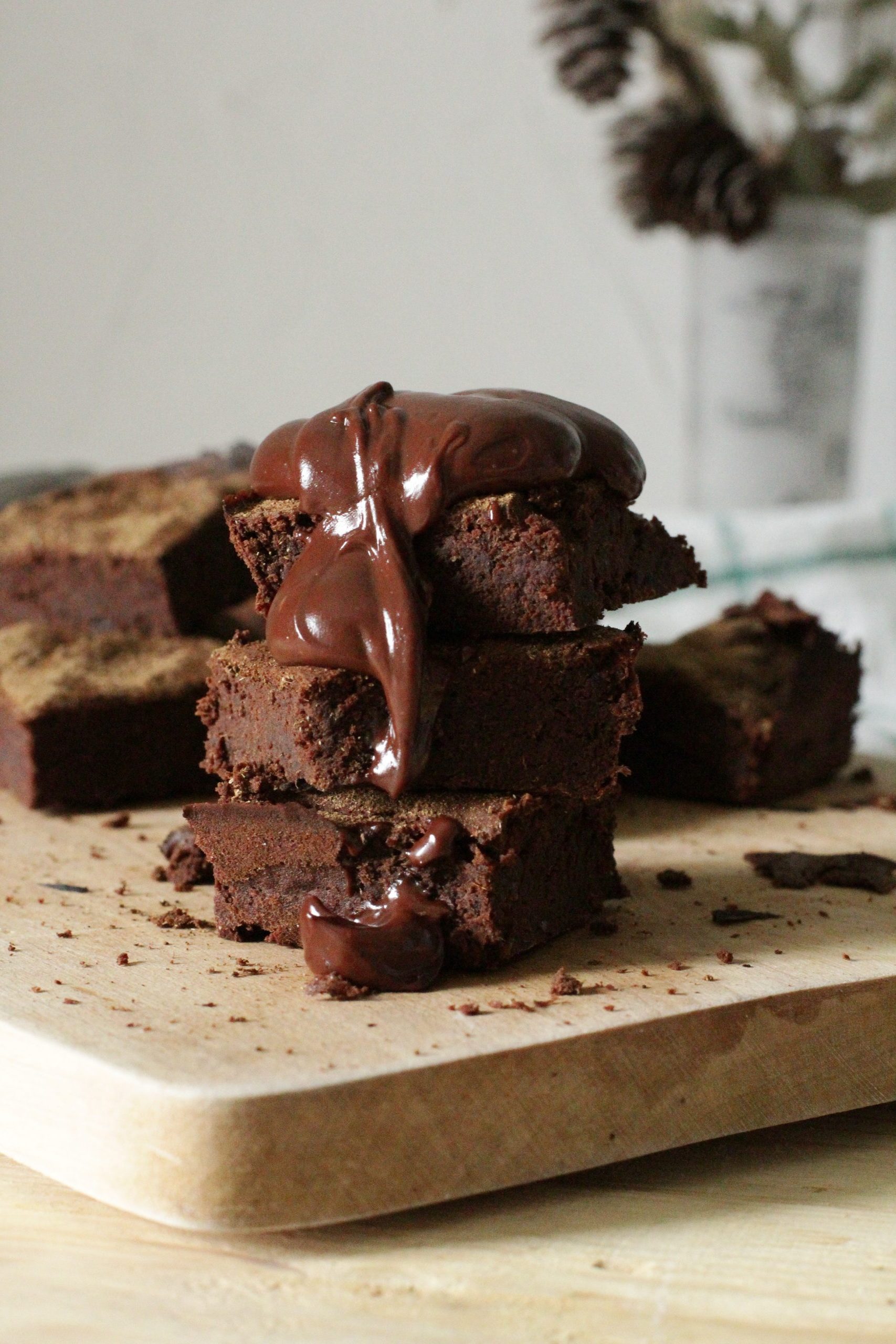 Flourless Gluten Free Fudge Brownies With Chocolate Chips Recipe