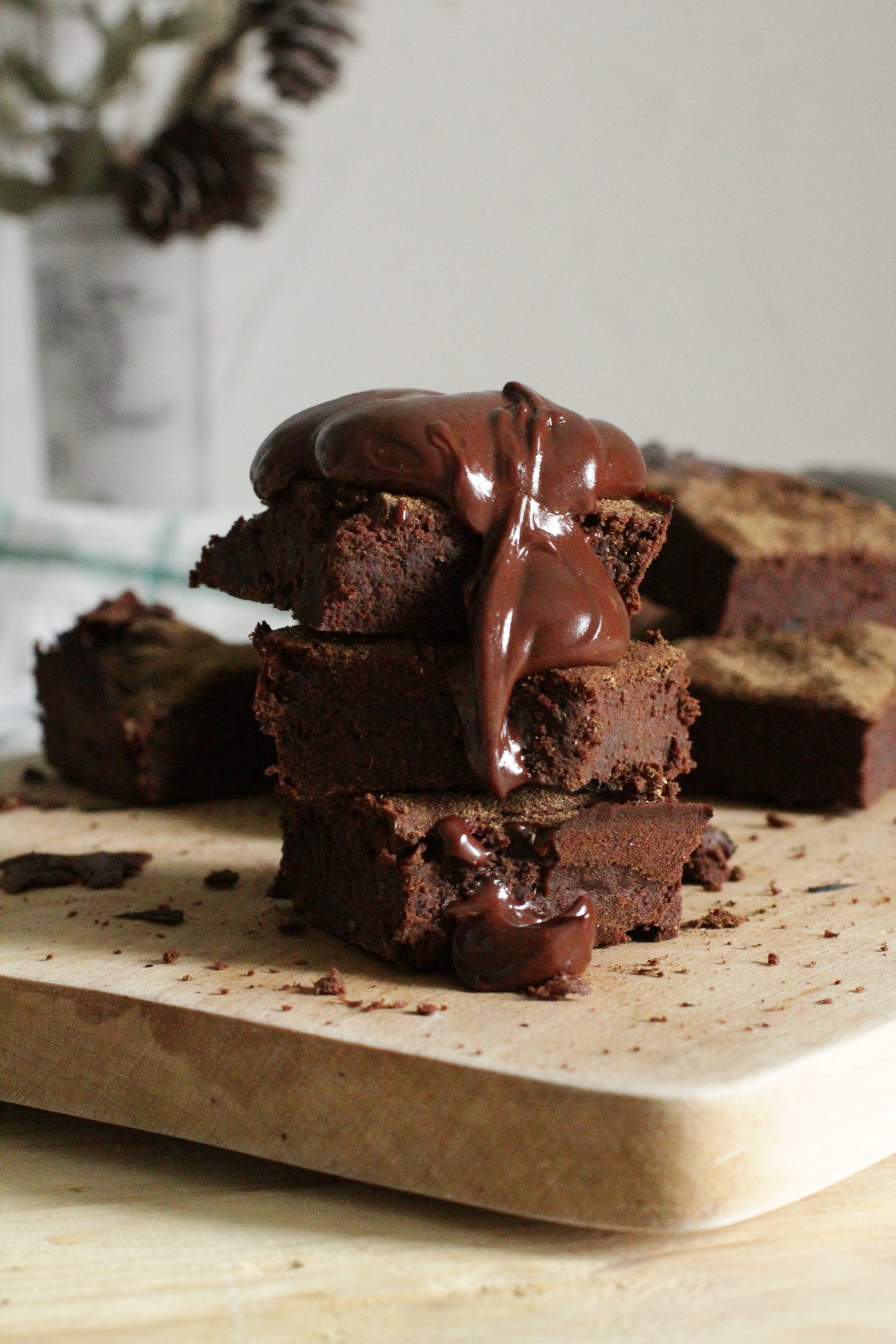 Flourless Gluten Free Fudge Brownies With Chocolate Chips Recipe