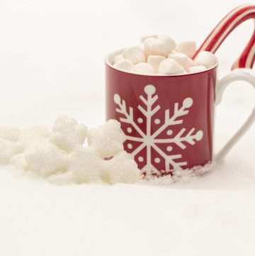 rich white hot chocolate