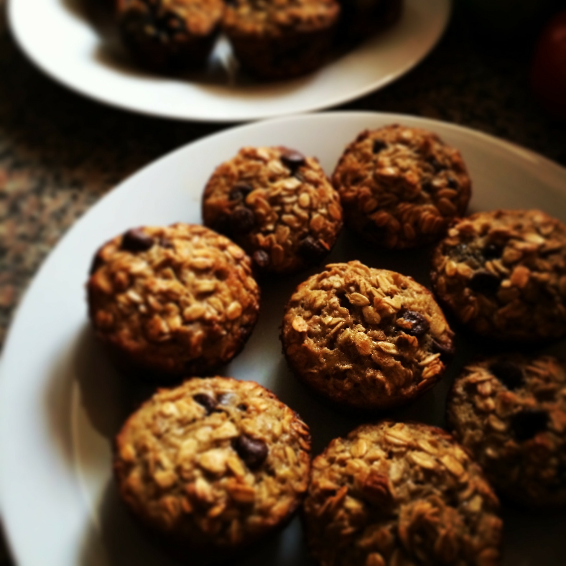 Dark Chocolate Chip Zucchini Oatmeal Muffins Recipe