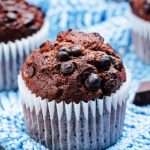 Double chocolate muffins topped with semisweet chips on blue knit cloth
