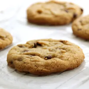 The best homemade chocolate chip cookies