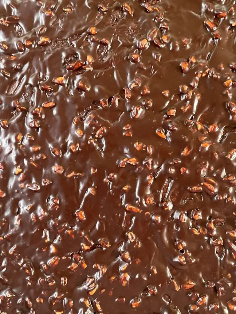 Extreme close-up of glossy chocolate glaze with chopped pecans on a classic Texas sheet cake. Fudgy texture and rich cocoa shine highlight the homemade finish.