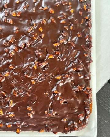 Close-up of moist chocolate Texas Sheet Cake topped with warm cocoa pecan glaze