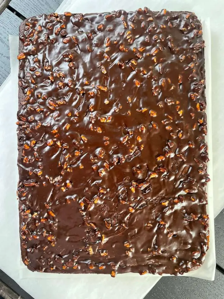 Moist Texas chocolate sheet cake topped with a shiny cocoa pecan glaze, fully out of the pan and resting on parchment.