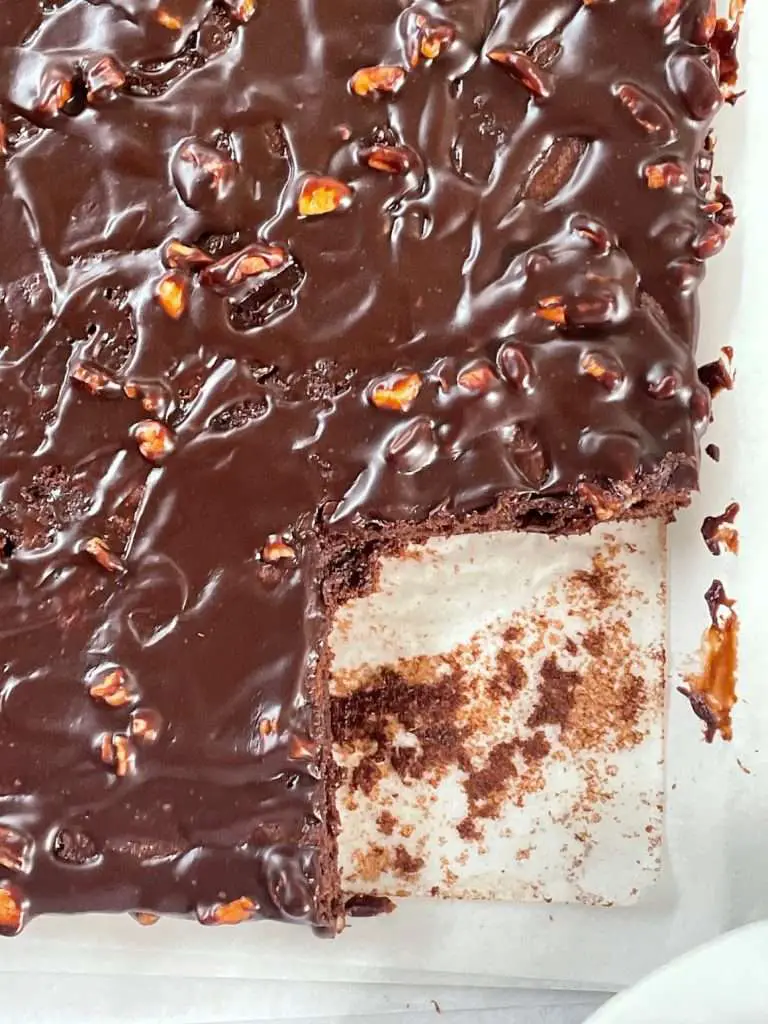Overhead view of moist Texas sheet cake with glossy chocolate glaze and chopped pecans, one square slice removed to reveal soft texture.